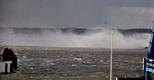 DSC_0018
