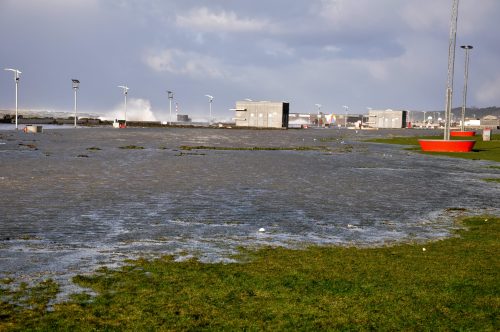 DSC_0030